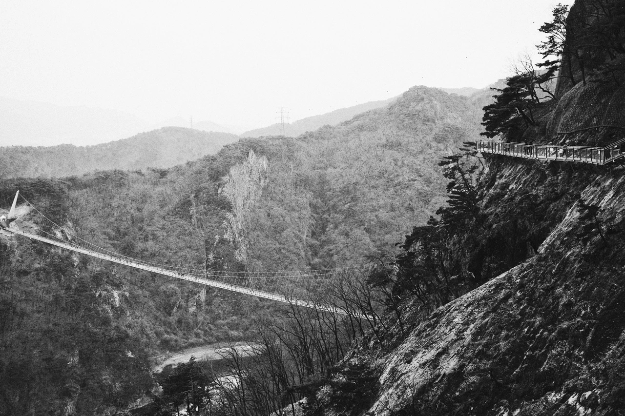 KakaoTalk_Photo_2022-03-14-22-10-22 004.jpeg