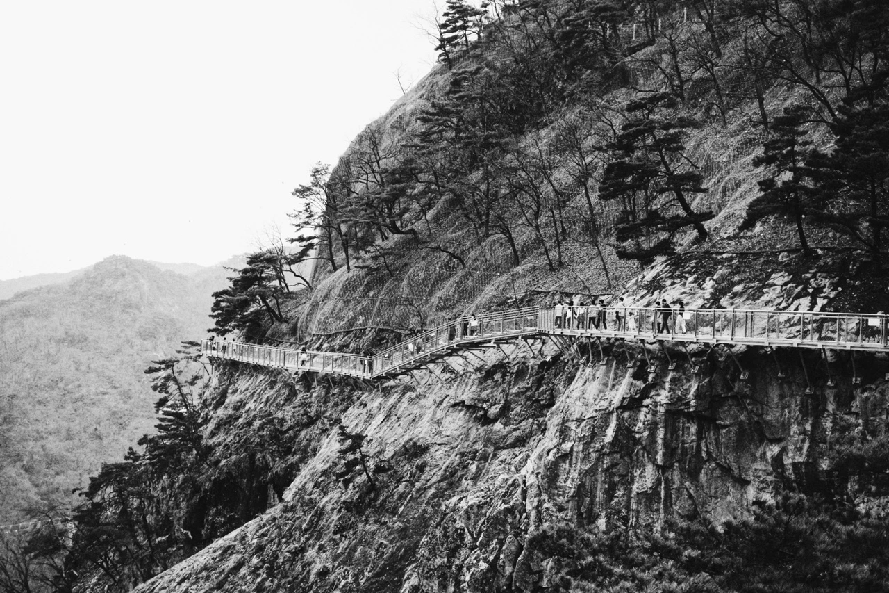 KakaoTalk_Photo_2022-03-14-22-10-22 003.jpeg