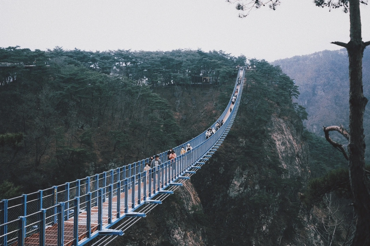 KakaoTalk_Photo_2022-03-14-22-10-21 001.jpeg