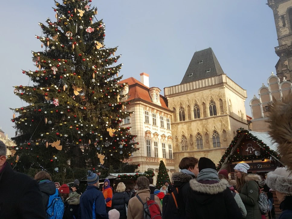 20191220_110344.jpg?type=w966