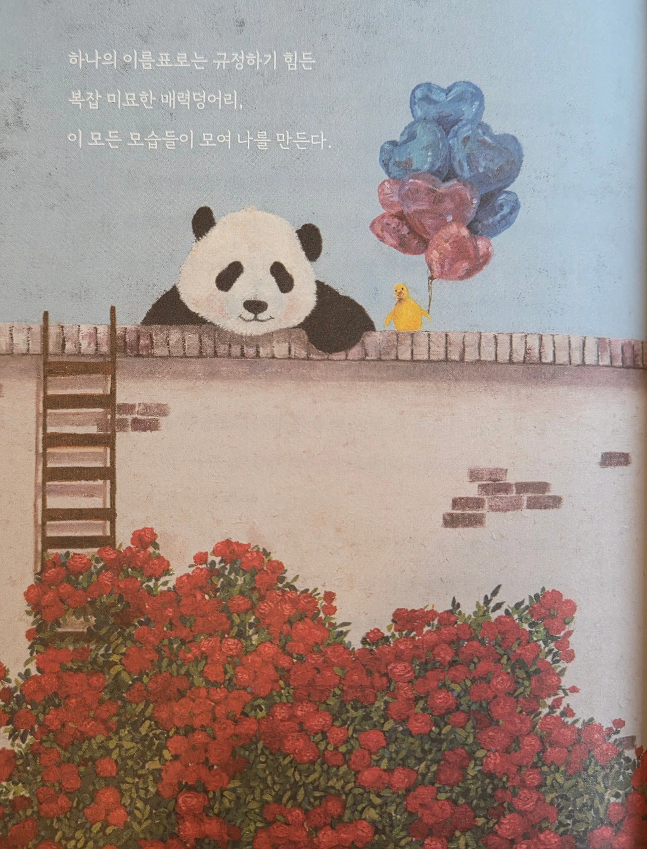 KakaoTalk_Photo_2025-09-03-22-26-42 001.jpeg