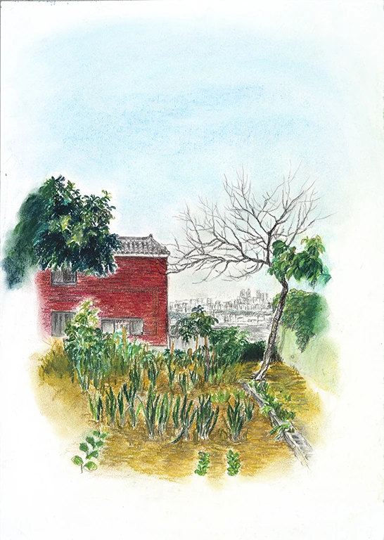 %EC%B2%A0%EC%82%B0%EB%8F%99,_%EC%97%AC%EB%A6%84%EC%9D%98_%EA%B8%B0%EB%A1%9D_16_%EB%84%9D%EC%BF%A8_%EC%95%9E_%EC%A1%B0%EC%84%A0%ED%8C%8C%EA%B0%80_%EC%9E%90%EB%9D%BC%EB%8A%94_%EB%B0%AD.jpg?type=w773