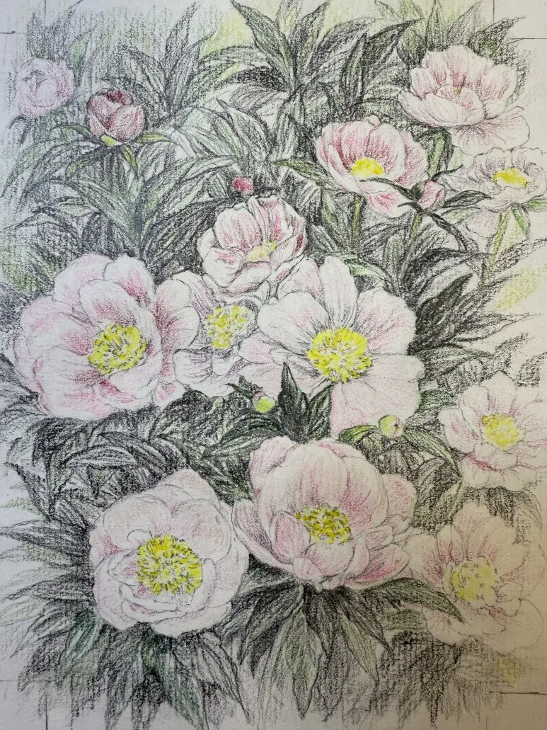 IMG_6127.JPG?type=w773