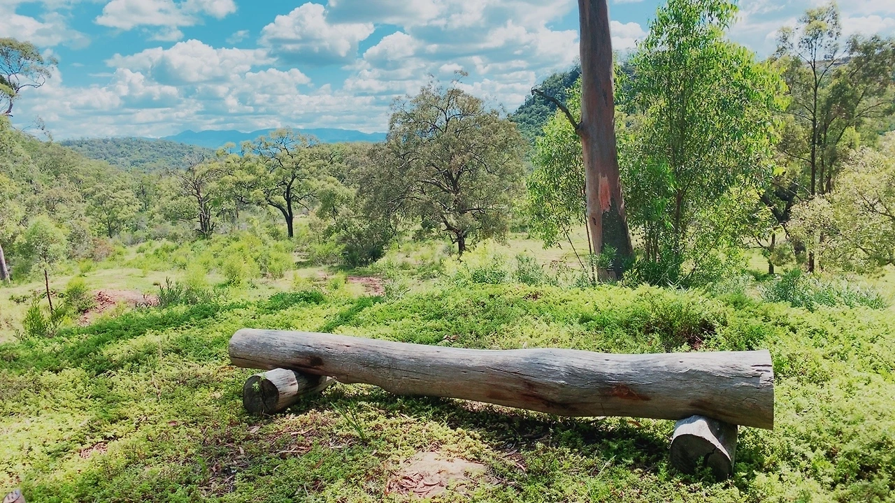 KakaoTalk_Photo_2021-12-08-22-13-58 001.jpeg