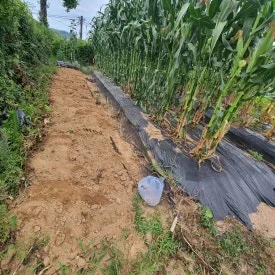 KakaoTalk_20240629_183146712_01.jpg?type=w275