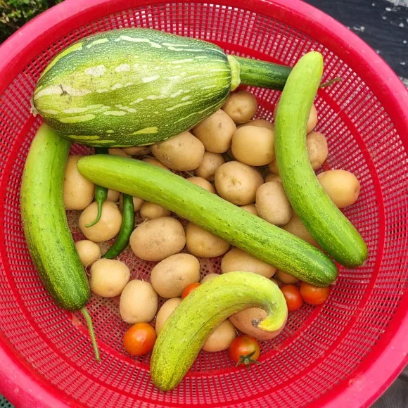 KakaoTalk_20240629_183146712.jpg?type=w580