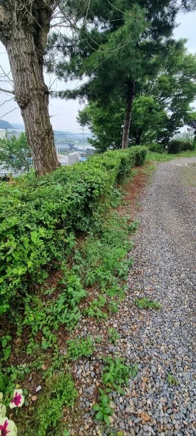 KakaoTalk_20240628_151814086_03.jpg?type=w275