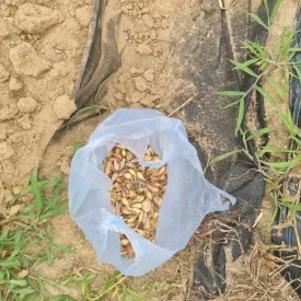 KakaoTalk_20240629_183146712_03.jpg?type=w275