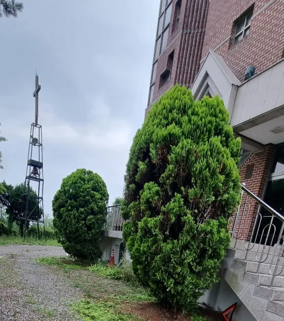 SE-83b4920d-e722-4a9e-9e25-68075ce12250.jpg?type=w580