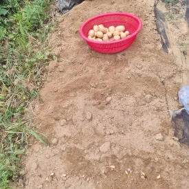 KakaoTalk_20240629_183146712_05.jpg?type=w275