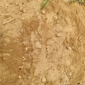 KakaoTalk_20240629_183146712_08.jpg?type=w275