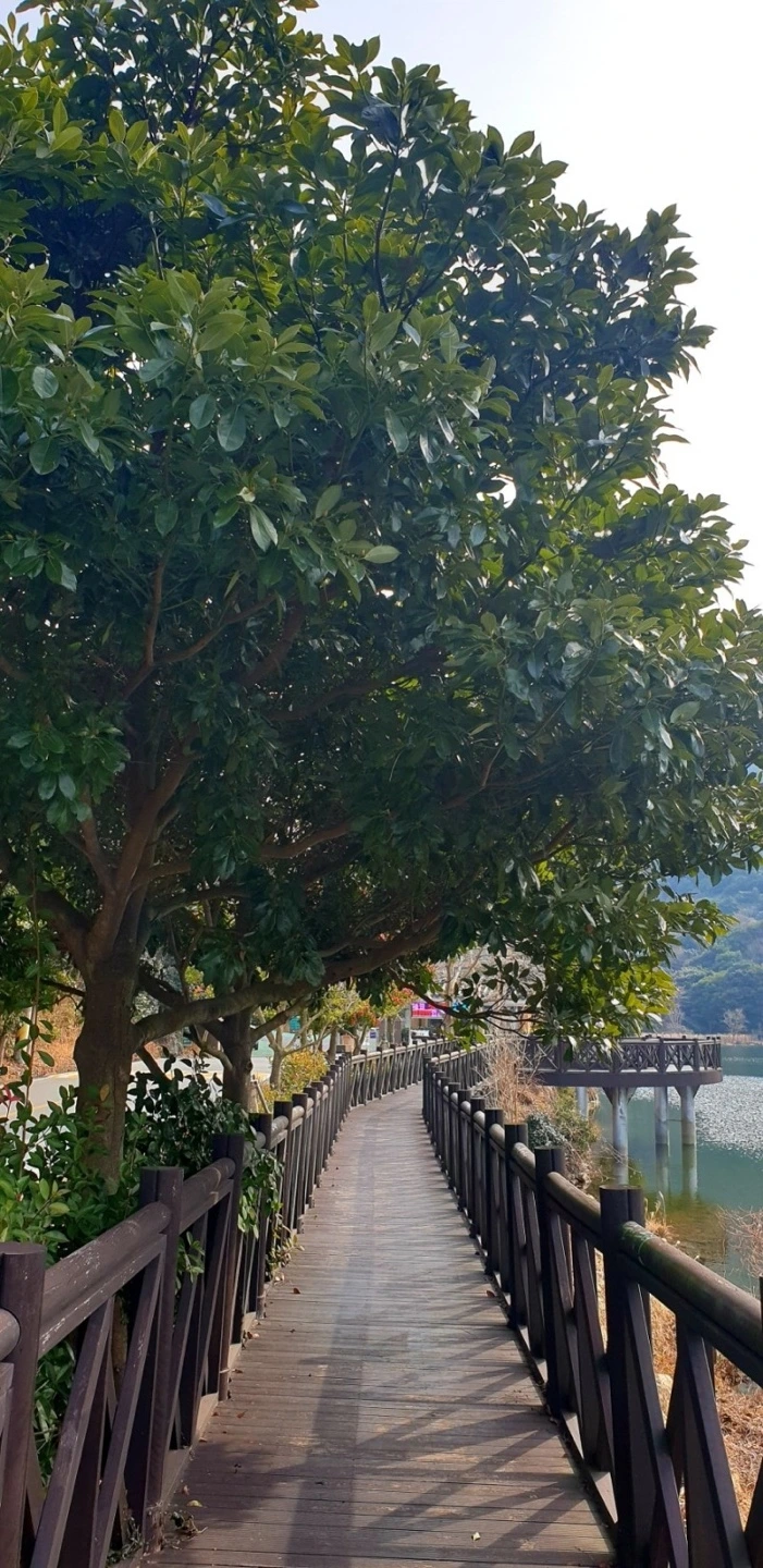 KakaoTalk_Photo_2023-10-26-18-05-41 003.jpeg