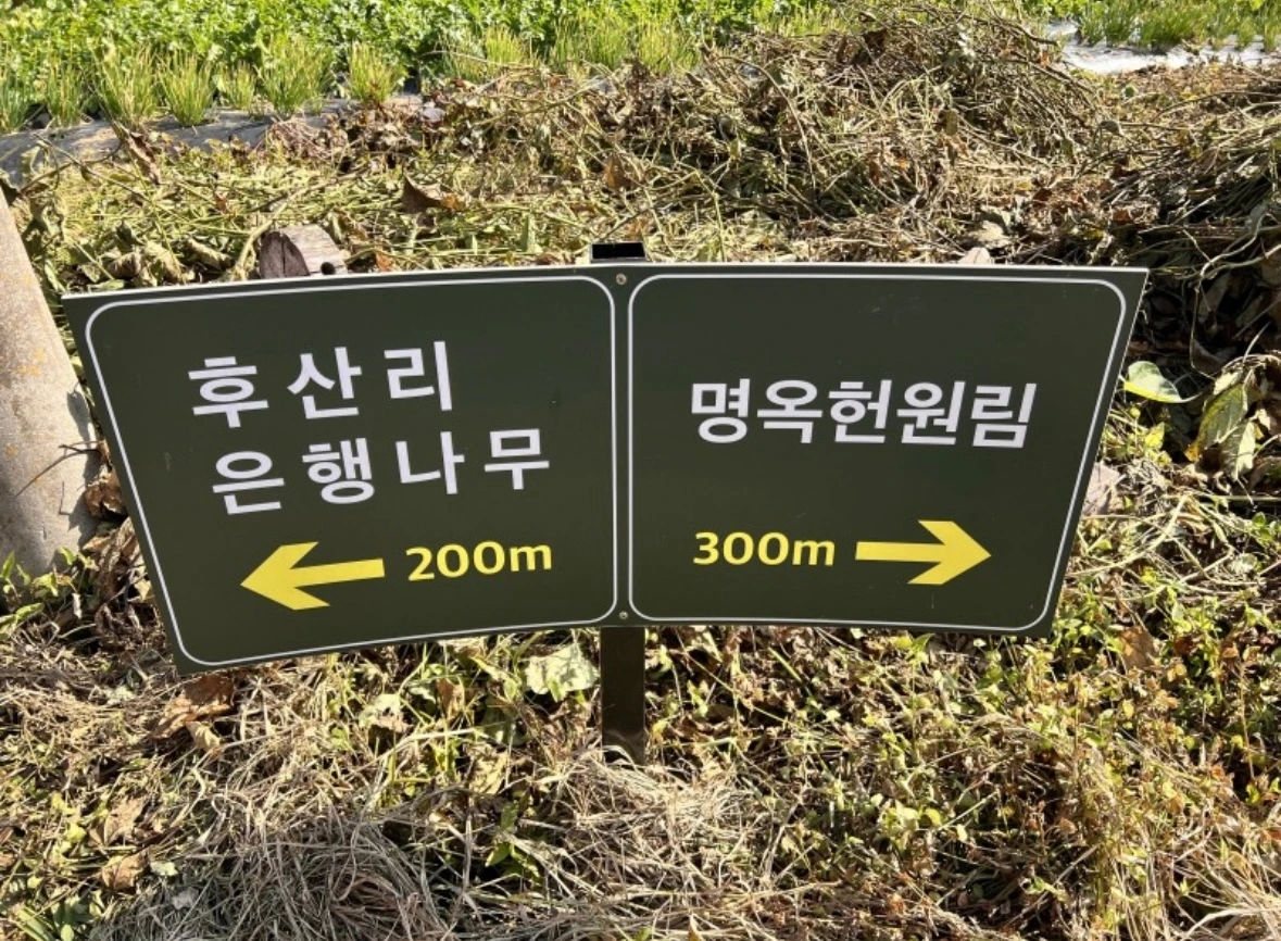 KakaoTalk_Photo_2023-10-25-10-48-36 001.jpeg