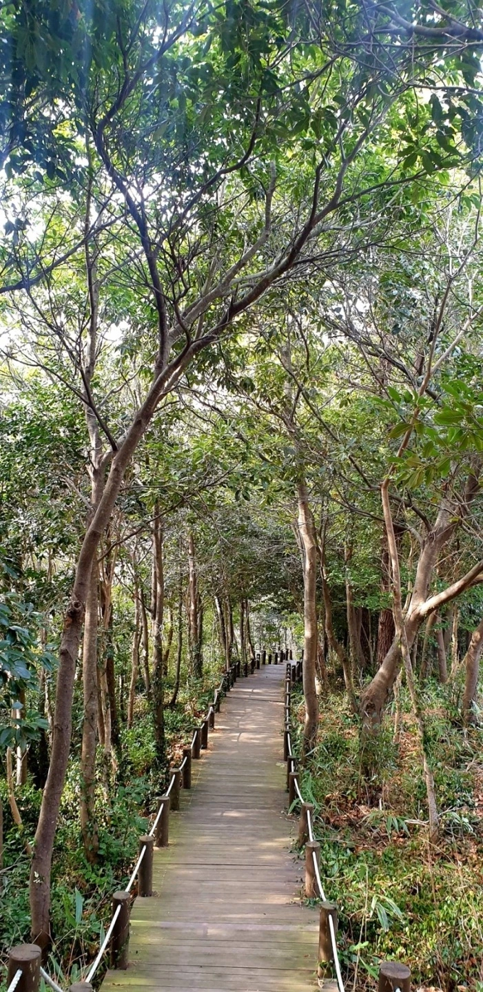 KakaoTalk_Photo_2023-10-26-18-05-41 001.jpeg