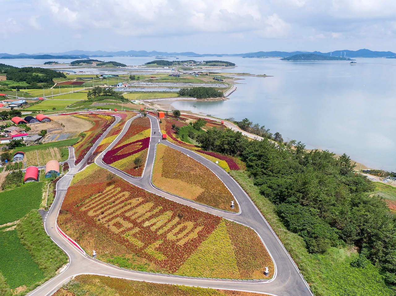 9-4병풍도맨드라미_022 복사본.JPG