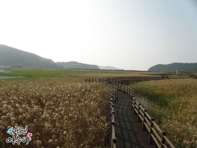 KakaoTalk_Photo_2023-10-29-10-26-48 002.jpeg