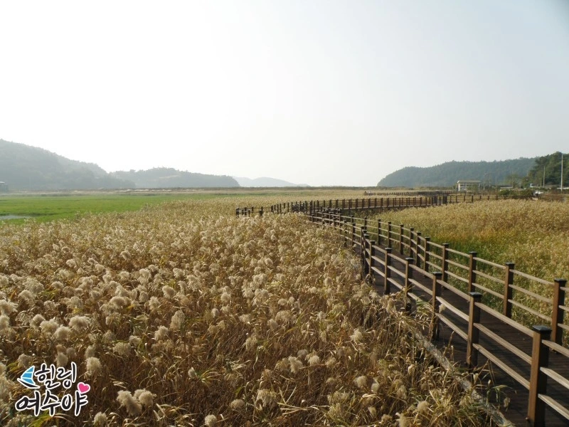 KakaoTalk_Photo_2023-10-29-10-26-48 001.jpeg