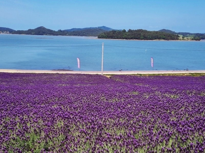 KakaoTalk_Photo_2023-10-26-18-40-23 003.jpeg