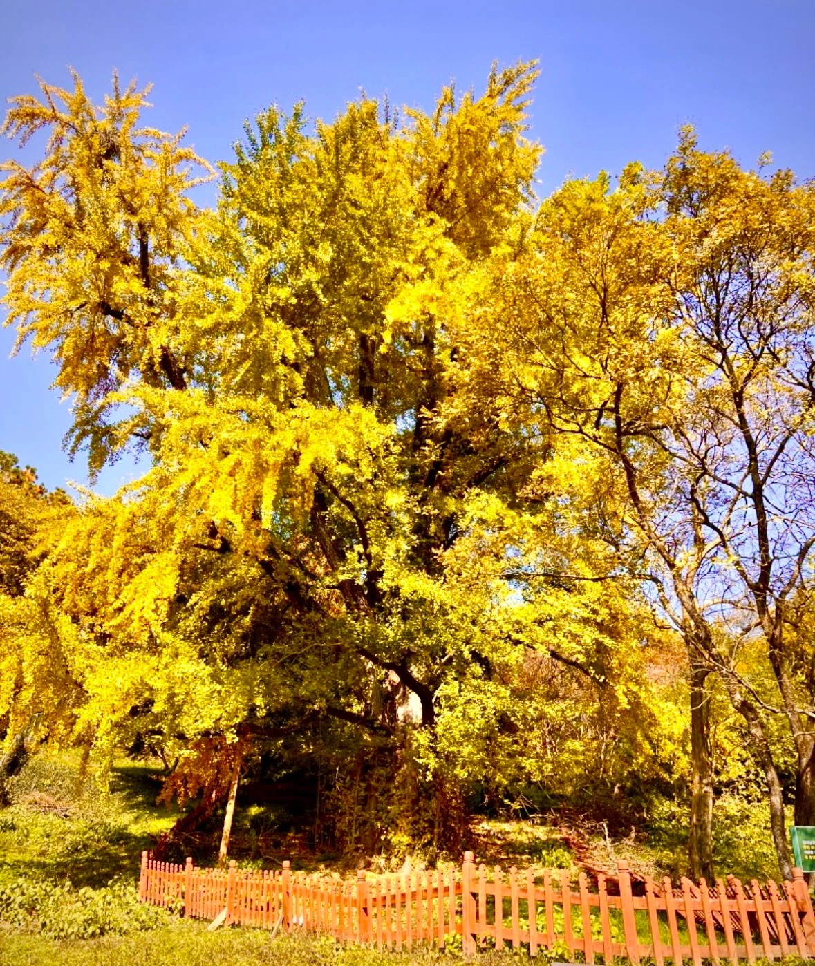 KakaoTalk_Photo_2023-10-25-10-48-37 002.jpeg