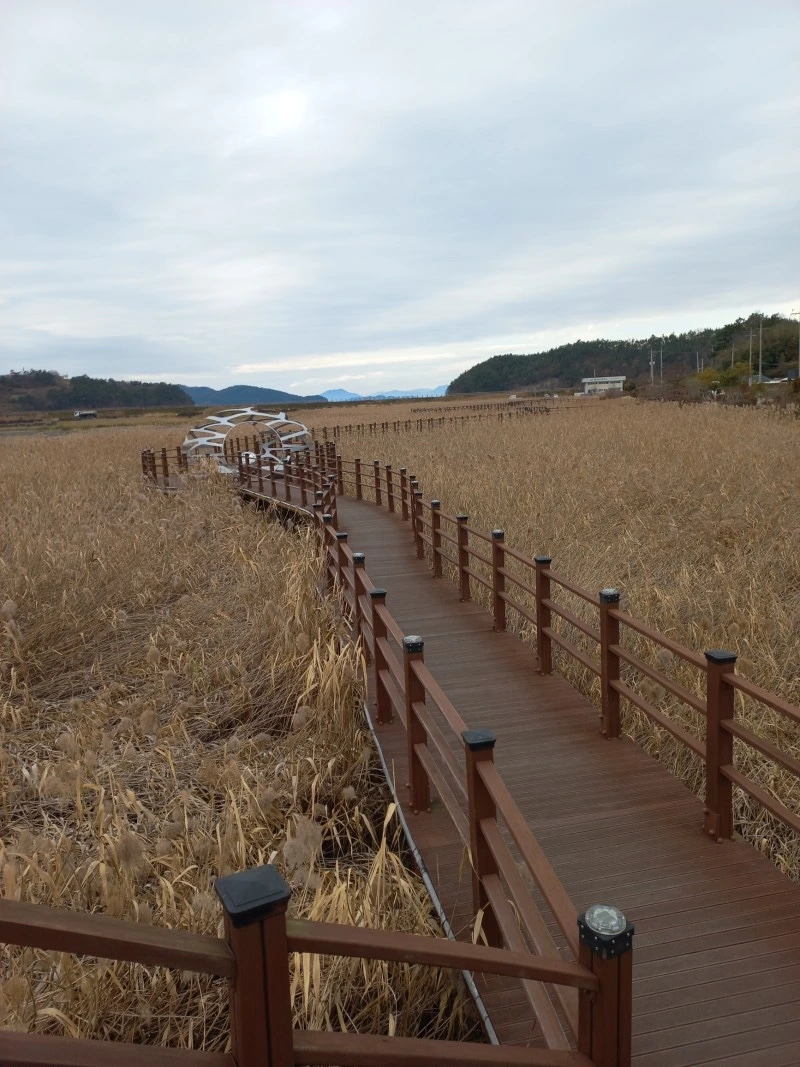 KakaoTalk_Photo_2023-10-29-10-26-48 003.jpeg