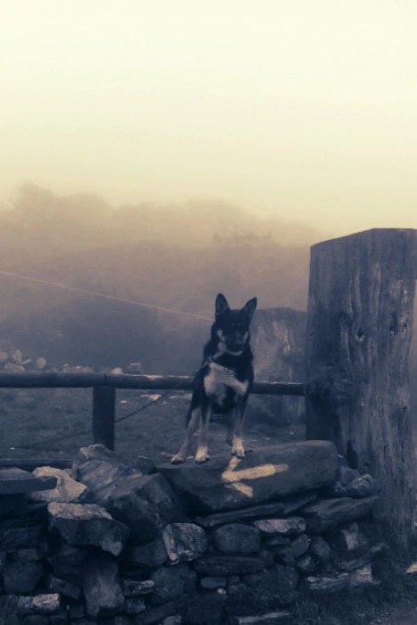 20130404 (15)_santiago de compostela.jpg