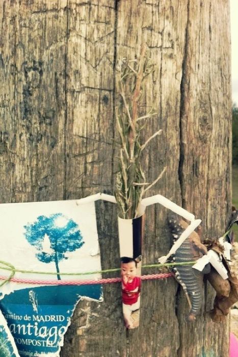 20130331 (13)_santiago de compostela.jpg