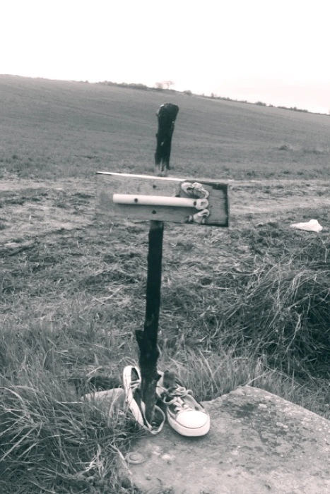 20130316 (6)_santiago de compostela.jpg