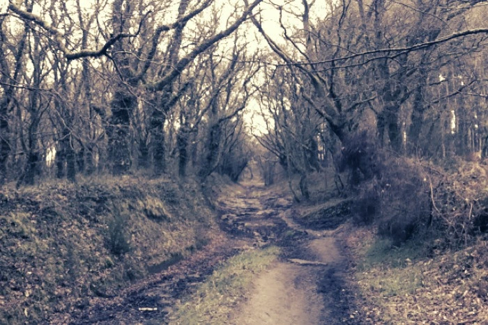 20130407 (4)_santiago de compostela.jpg