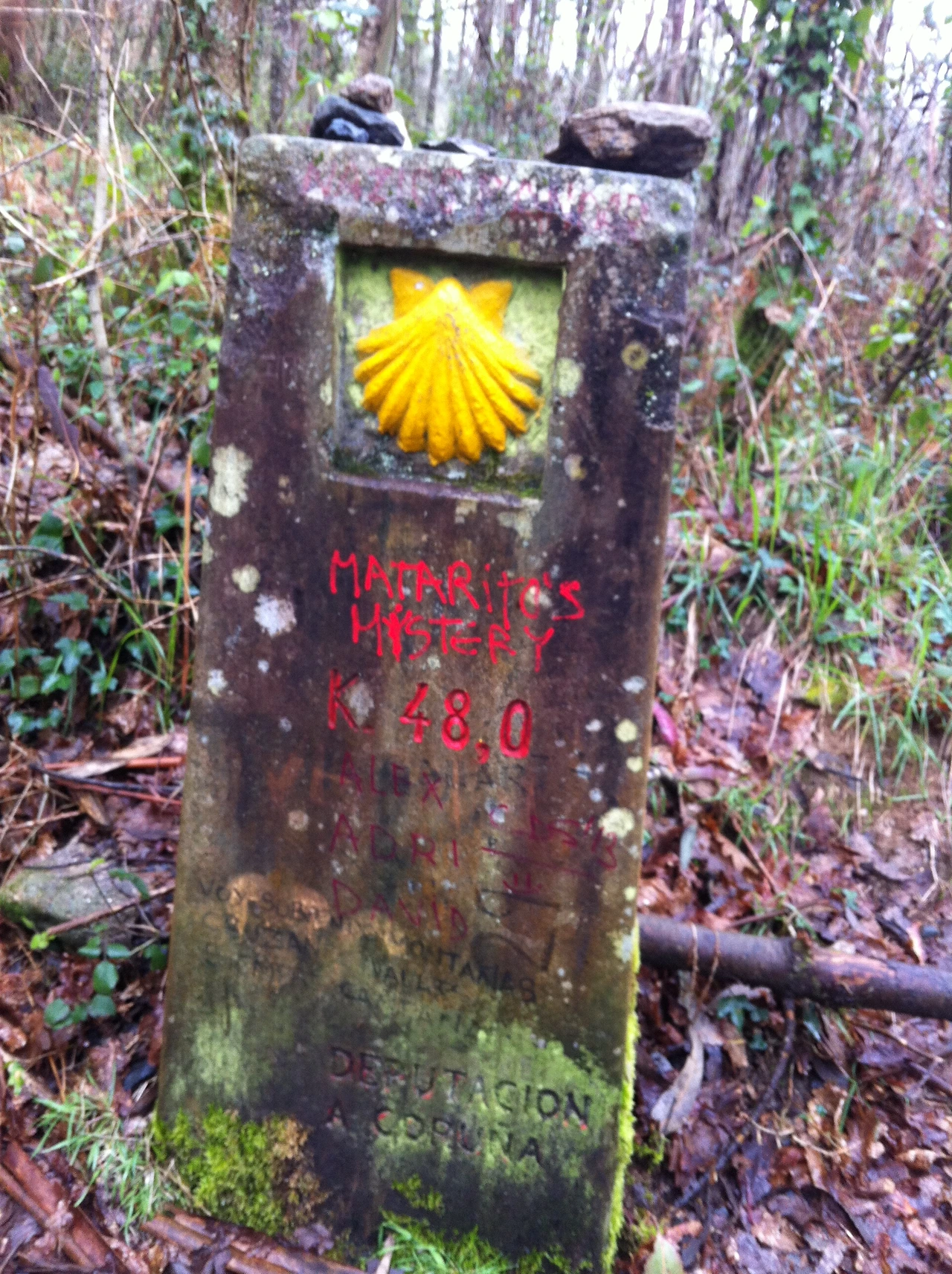 20130407 (3)_santiago de compostela.jpg