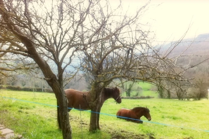 20130405 (8)_santiago de compostela.jpg