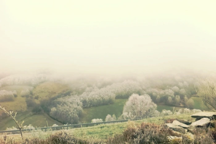 20130405 (6)_santiago de compostela.jpg