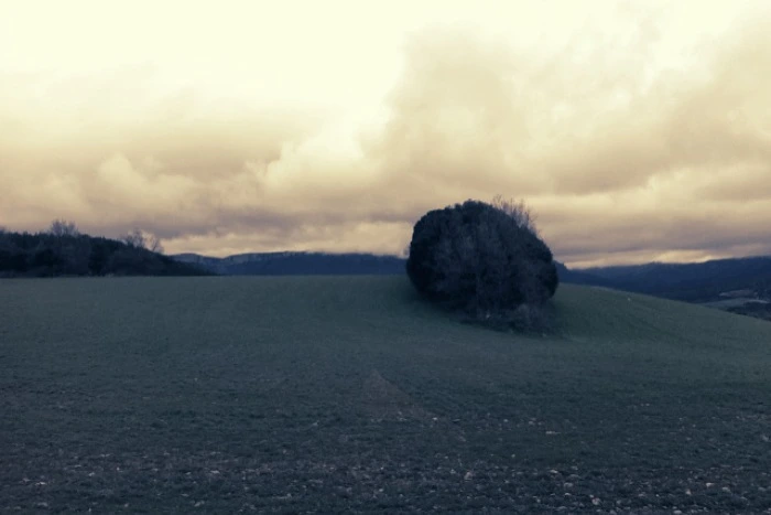 20130312 (1)_santiago de compostela.jpg