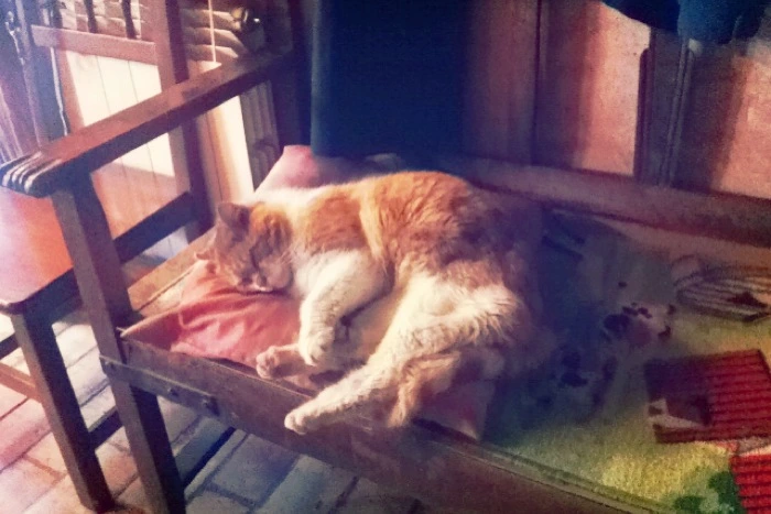 20130322 (10)_santiago de compostela.jpg