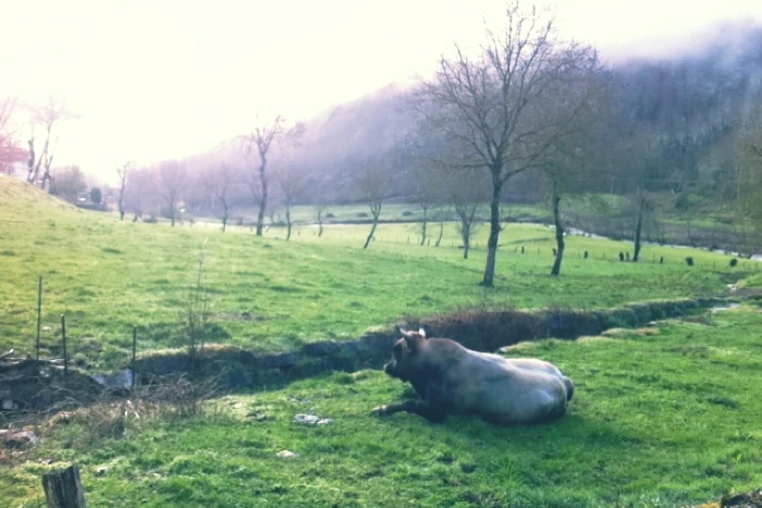 20130404 (3)_santiago de compostela.jpg