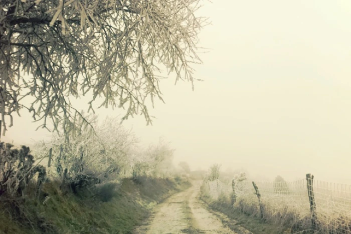 20130405 (5)_santiago de compostela.jpg