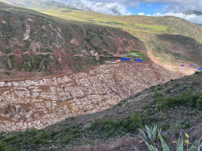 IMG_8887.jpg?type=w773