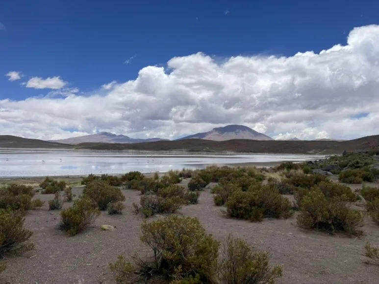 IMG_9259.jpg?type=w773