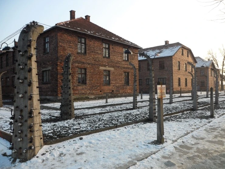 SAM_3122.JPG?type=w773