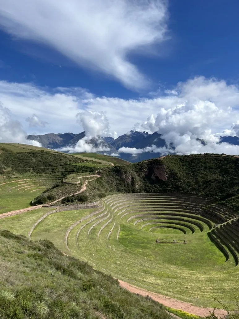 IMG_8899.jpg?type=w773