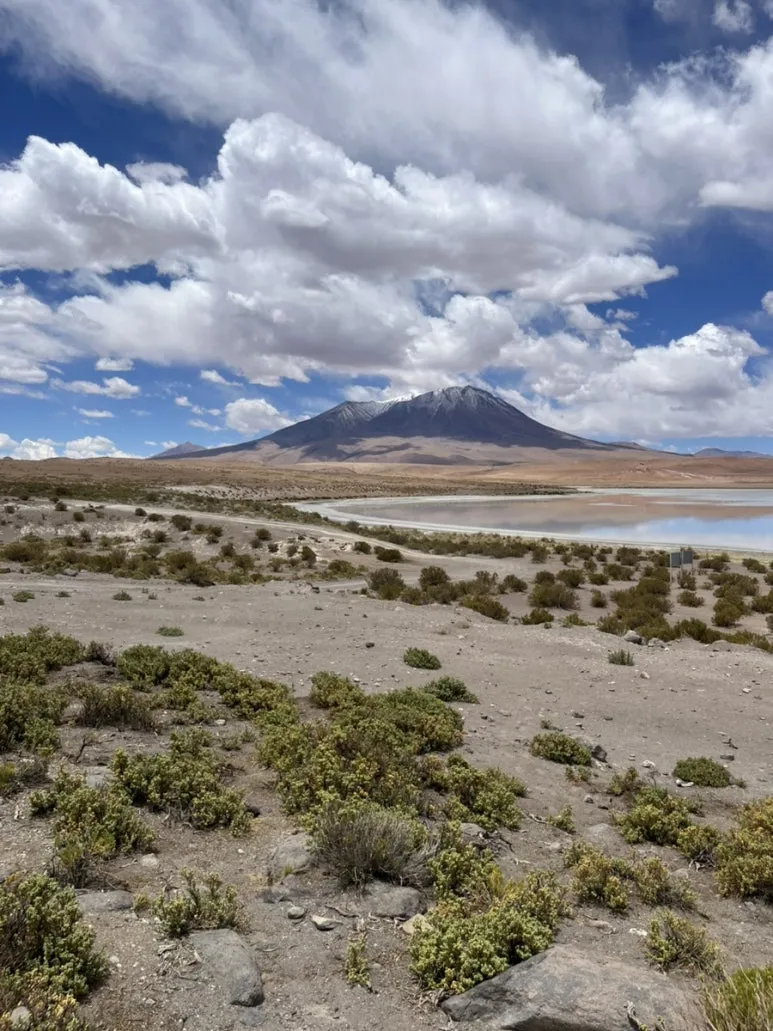 IMG_9280.jpg?type=w773