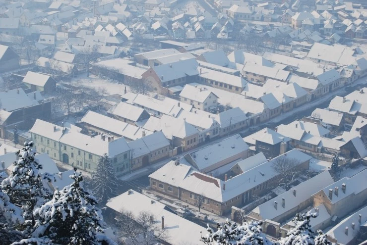 DSC_0730.JPG?type=w773