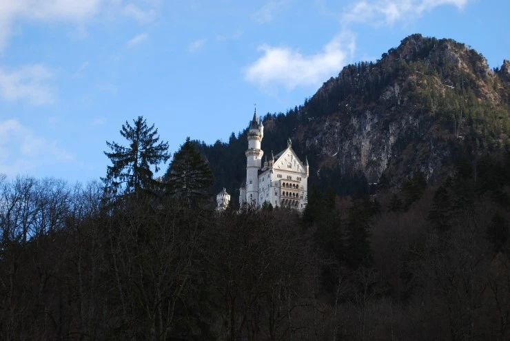 DSC_0246.JPG?type=w773