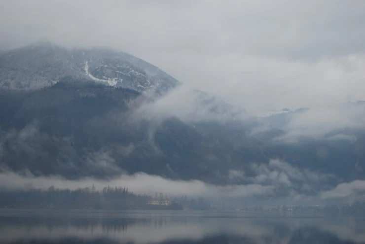 DSC_0733.JPG?type=w773