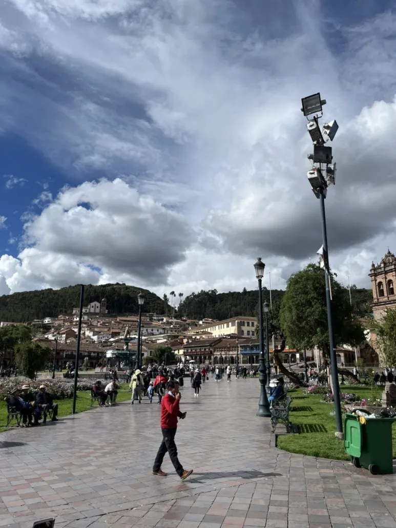 IMG_8988.jpg?type=w773