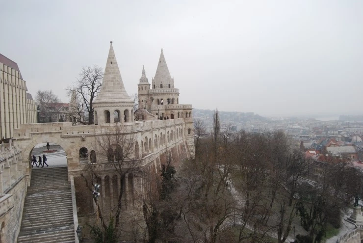 DSC_0538.JPG?type=w773