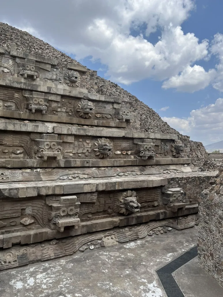 IMG_6408.jpg?type=w773