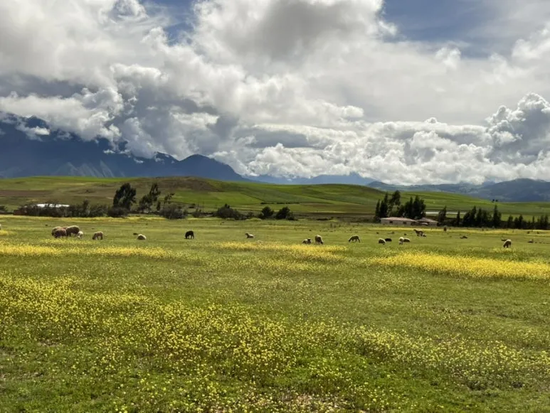 IMG_8934.jpg?type=w773