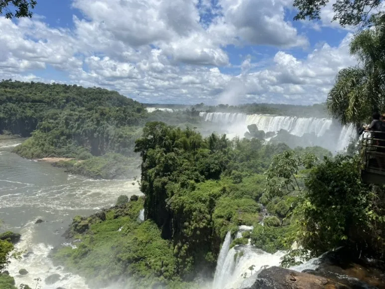 IMG_9534.jpg?type=w773