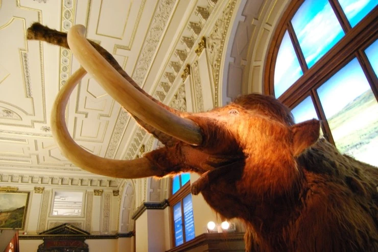 DSC_0323.JPG?type=w773