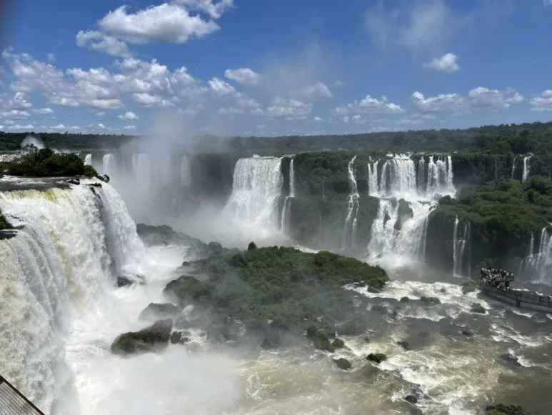 IMG_9616.jpg?type=w773